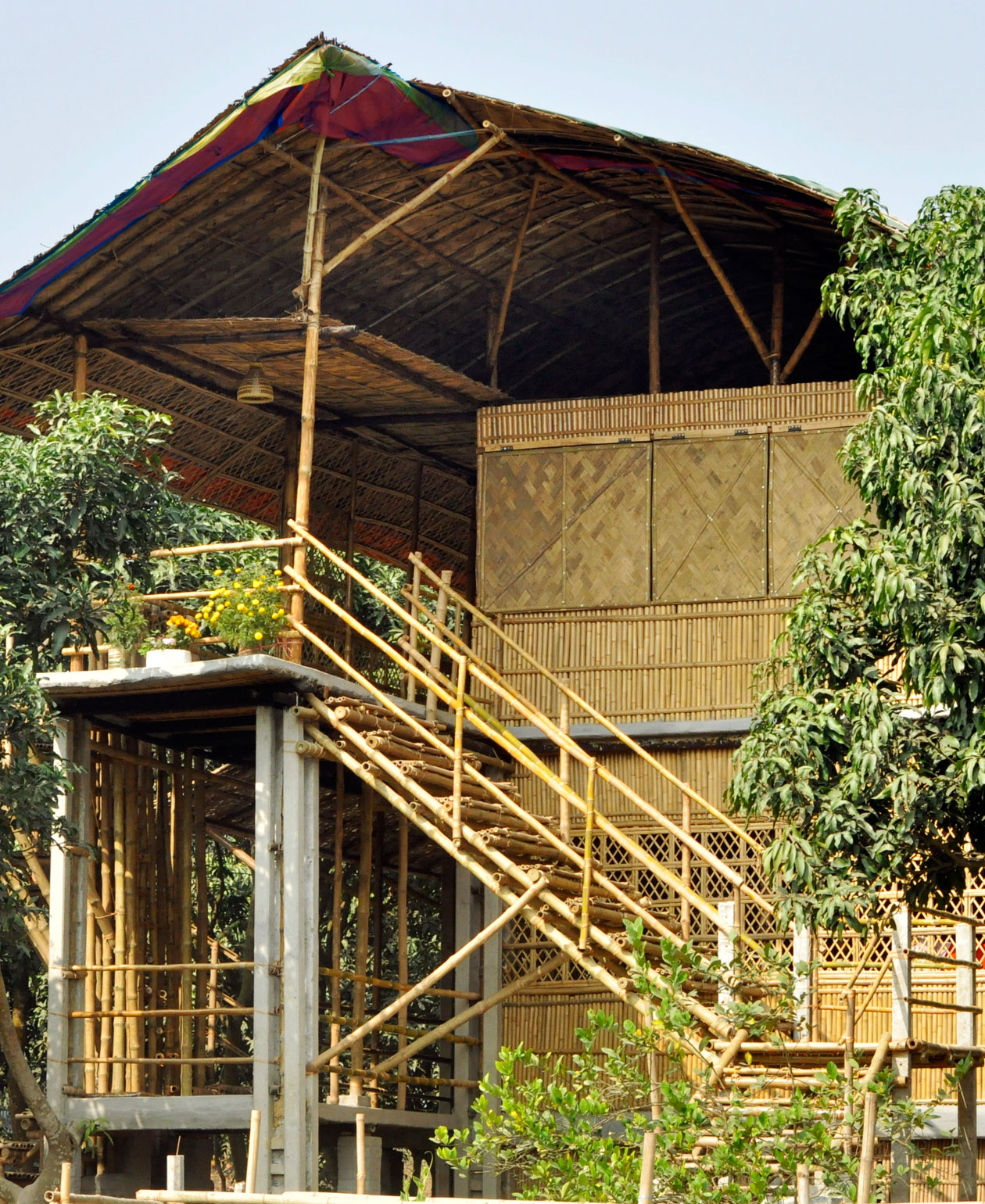 Image 5