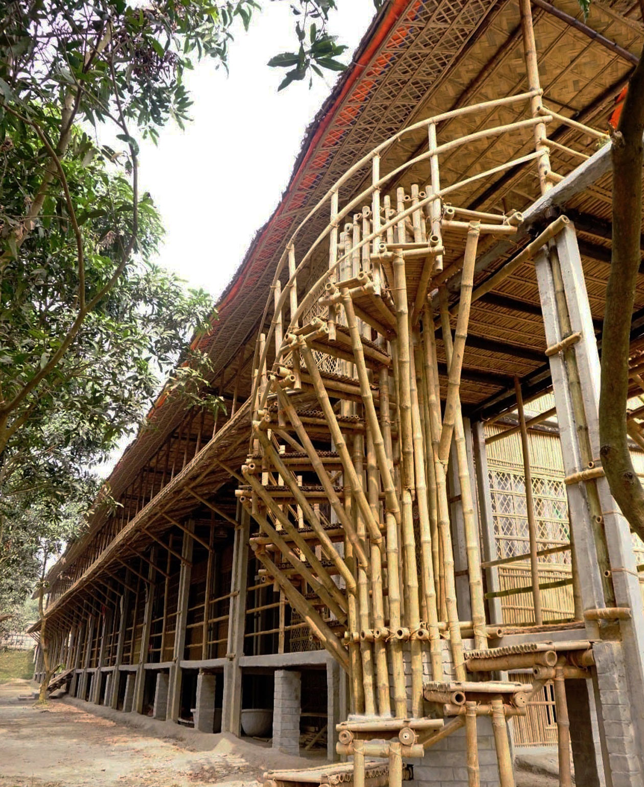 Image 4