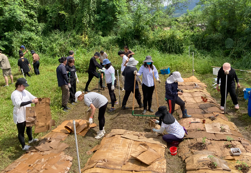 Soil Trust (泥玩)